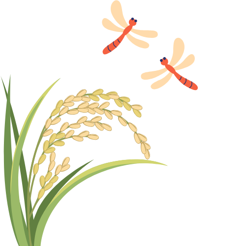 稲穂の上にトンボが飛んでいるイラスト